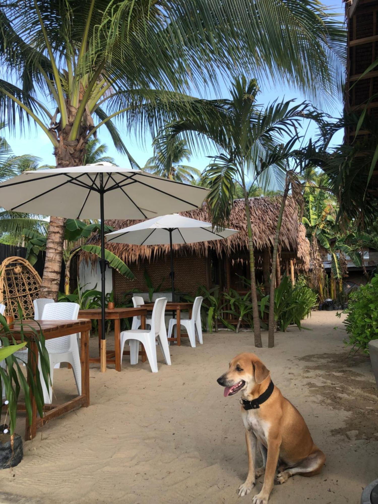 Zhaya'S Beach & Cottages El Nido Exterior foto